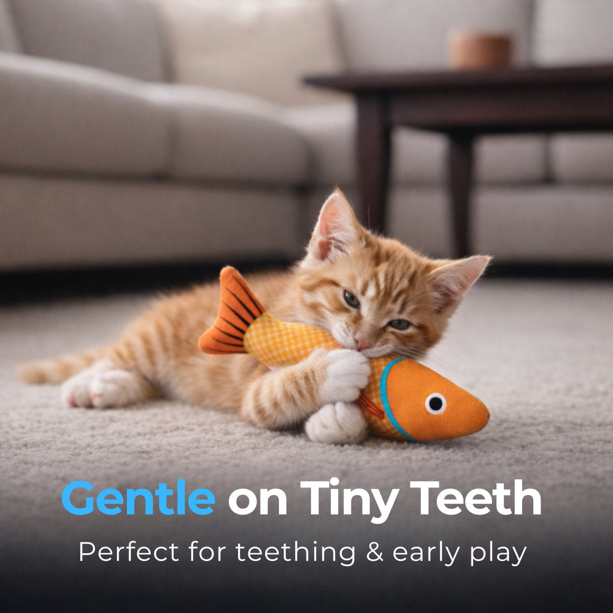 Kitten Kick & Chew Fish