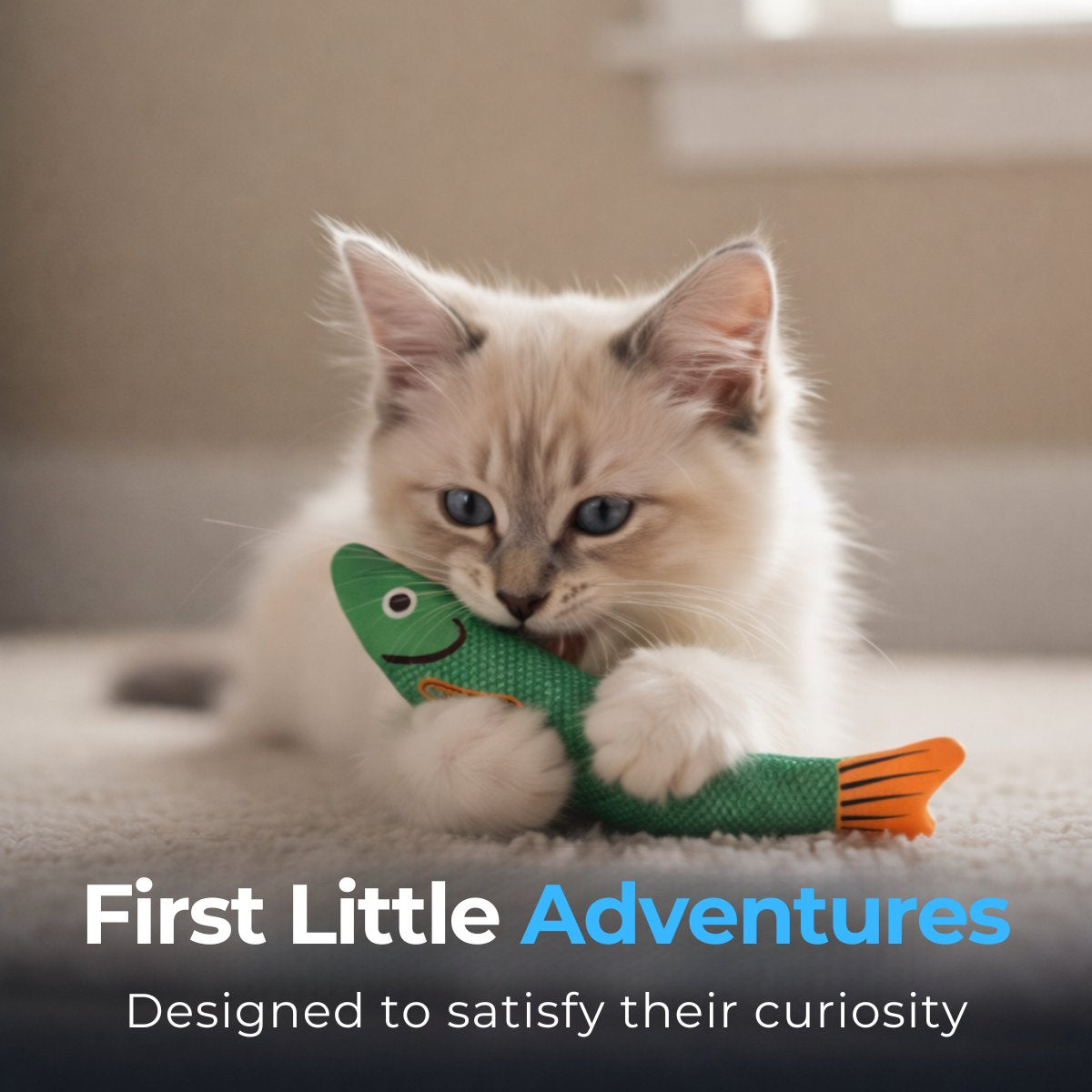 Kitten Kick & Chew Fish