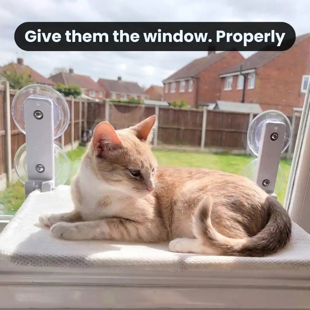The Cat Window Seat — Foldable, Fits Any UK Window