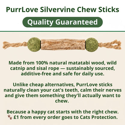 PurrLove Natural Silvervine Chew Sticks