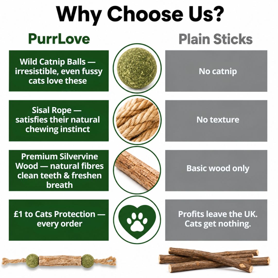 PurrLove Natural Silvervine Chew Sticks