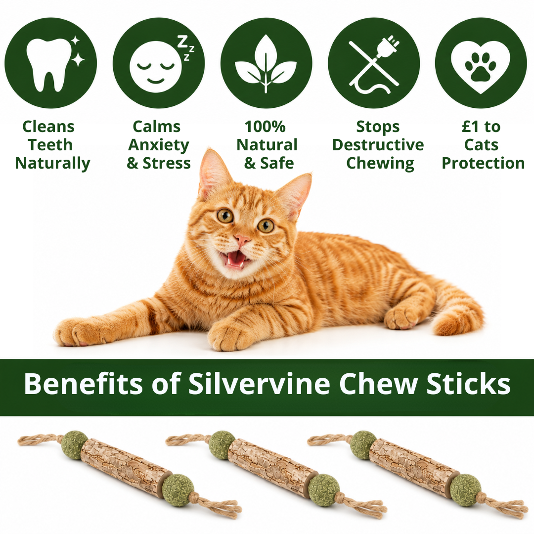 PurrLove Natural Silvervine Chew Sticks