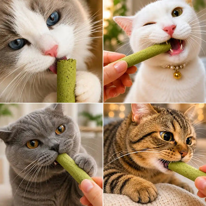 PurrLove Carnivore Sticks