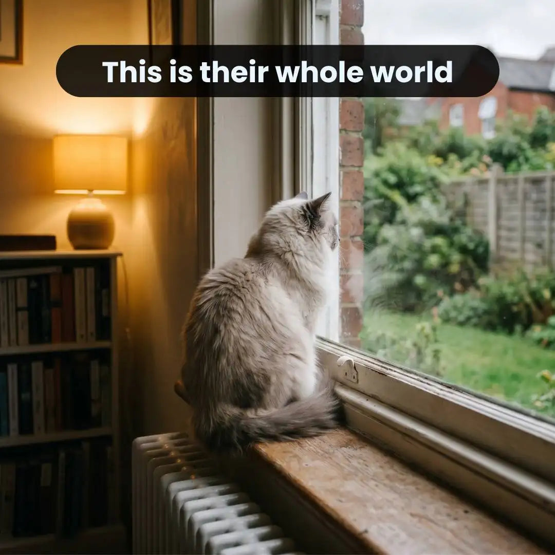 The Cat Window Seat — Foldable, Fits Any UK Window