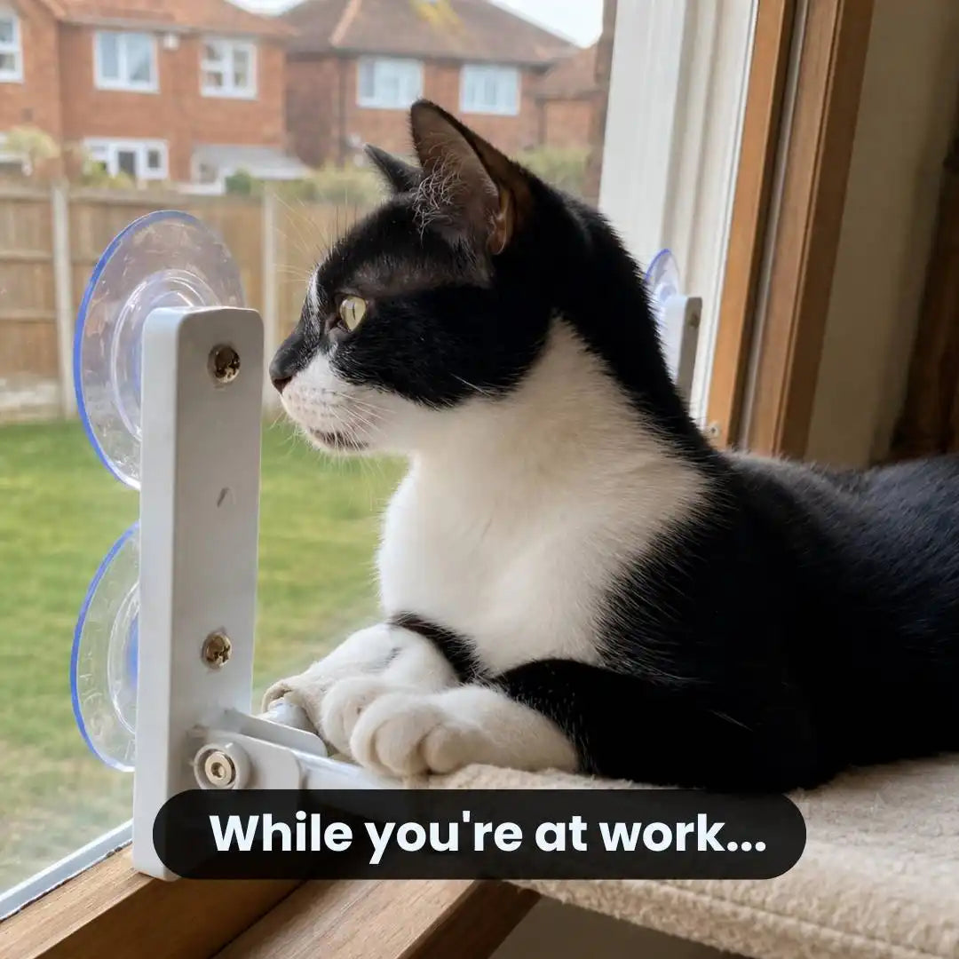 The Cat Window Seat — Foldable, Fits Any UK Window
