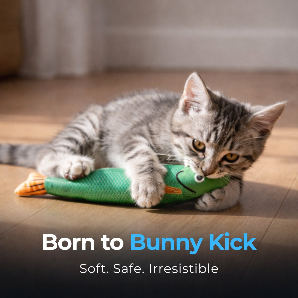 Kitten Kick & Chew Fish