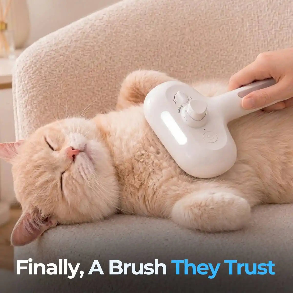PurrLuxe™ Spa Brush