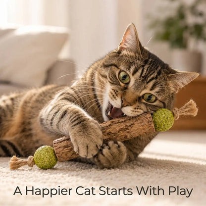 Silvervine Play Treat
